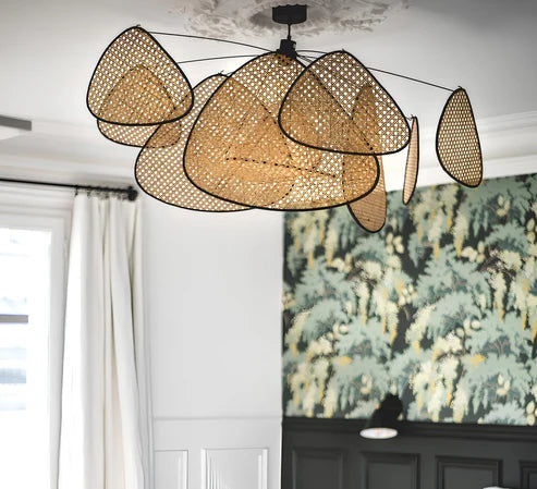 बेंत छत लैंप - पंख