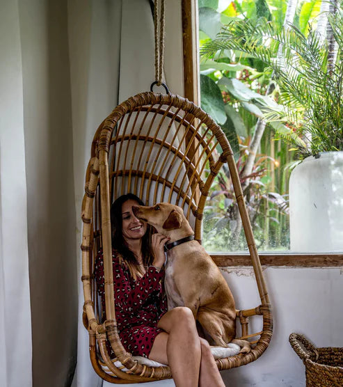 Sundara Curve – Handcrafted Bamboo Swing Chair